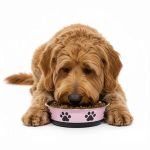 Charming Pink Dog Bowl with Paw Prints